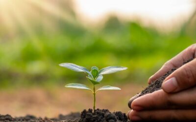 World Earth Day 2025